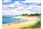 slideshow-hawaii-north-shore-beach-shop1.png